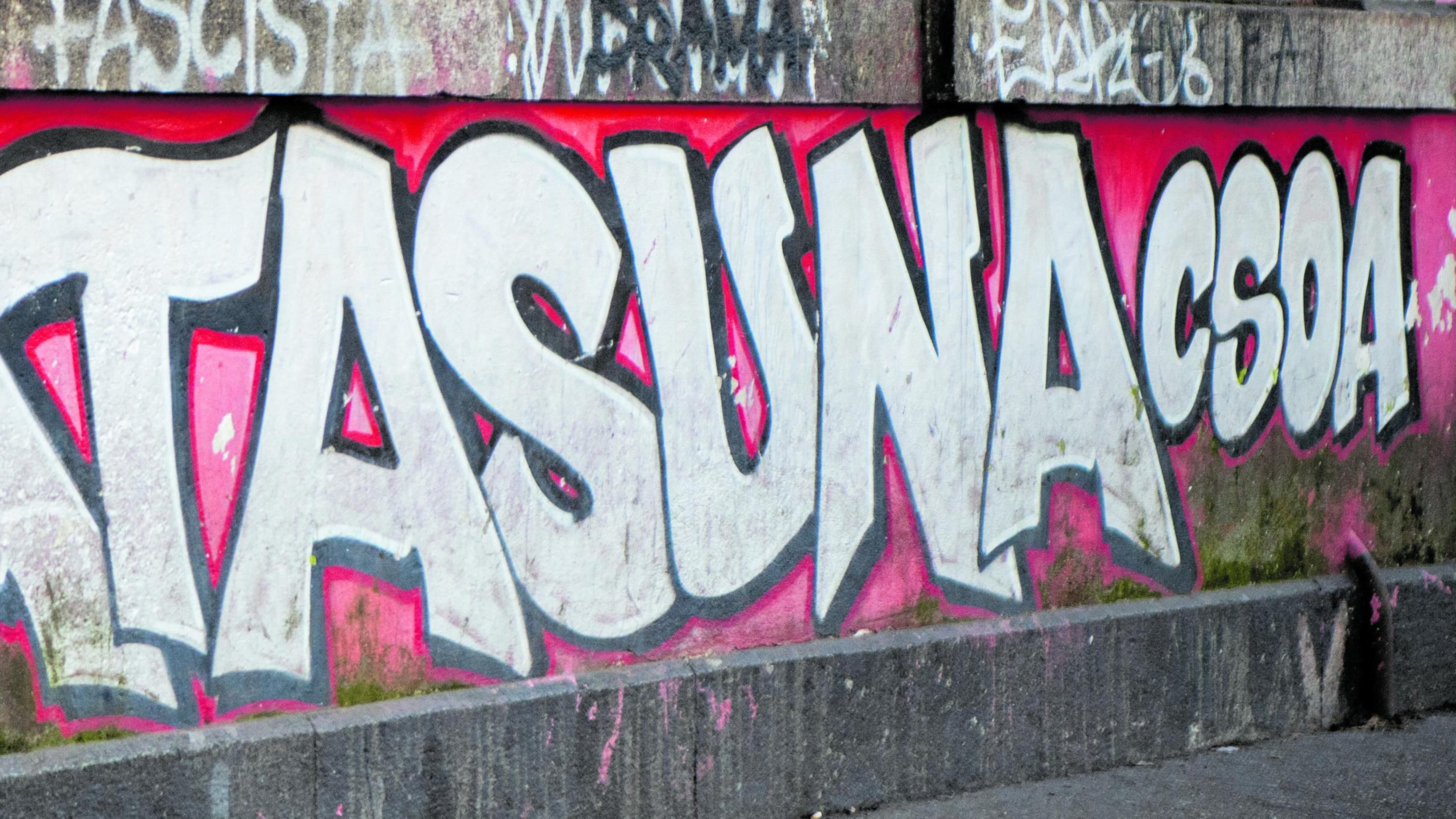 Scontri, blocchi e azioni paramilitari: il metodo Askatasuna è una minaccia