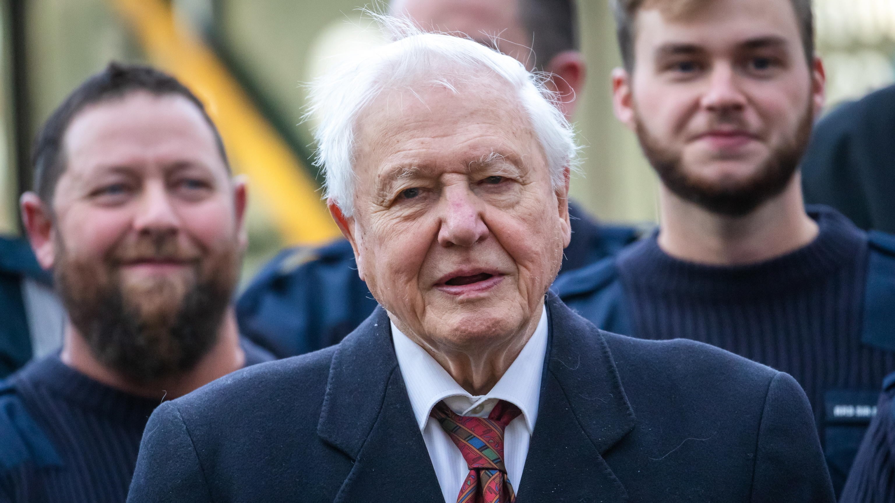 Mentre Attenborough oggi compie cent’anni noi crediamo alle tigri finte con l'AI