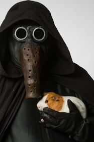 I personaggi di Star Wars per l'adozione degli animali 13