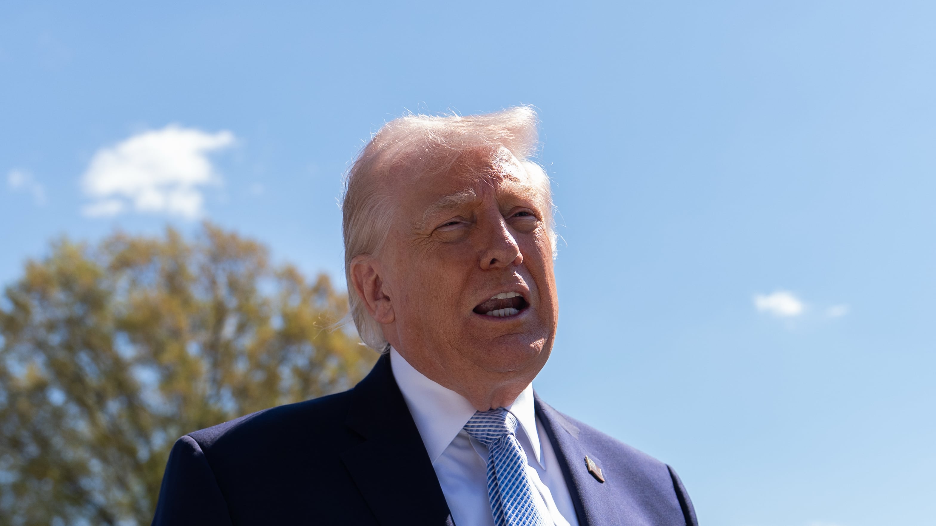 Il sogno di Donald: sgominare il terrore per sempre