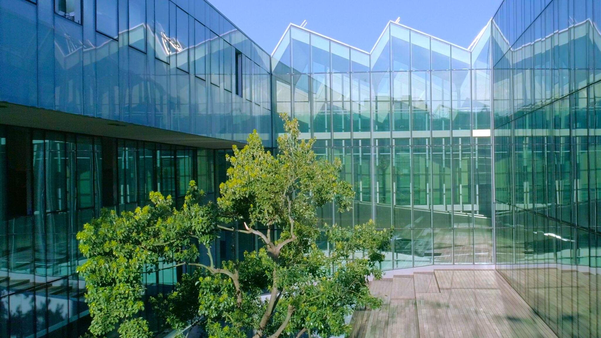 "L'importanza dell'architettura" nella società di domani