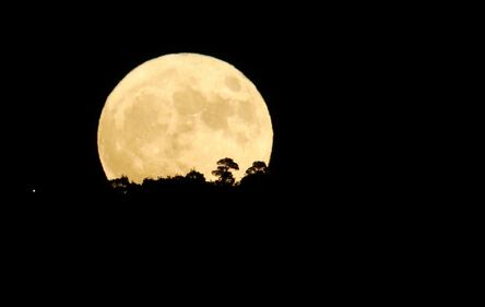 Superluna, le immagini più belle dal mondo 11