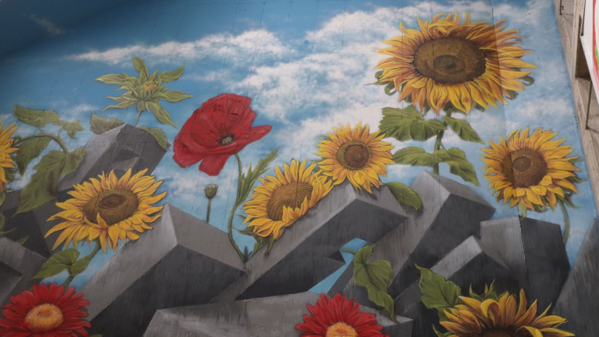 "Nulla su di noi senza di noi". Ad Ascoli il murales che parla di inclusione