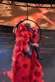 Brit Award 2019: Pink infiamma la platea 4