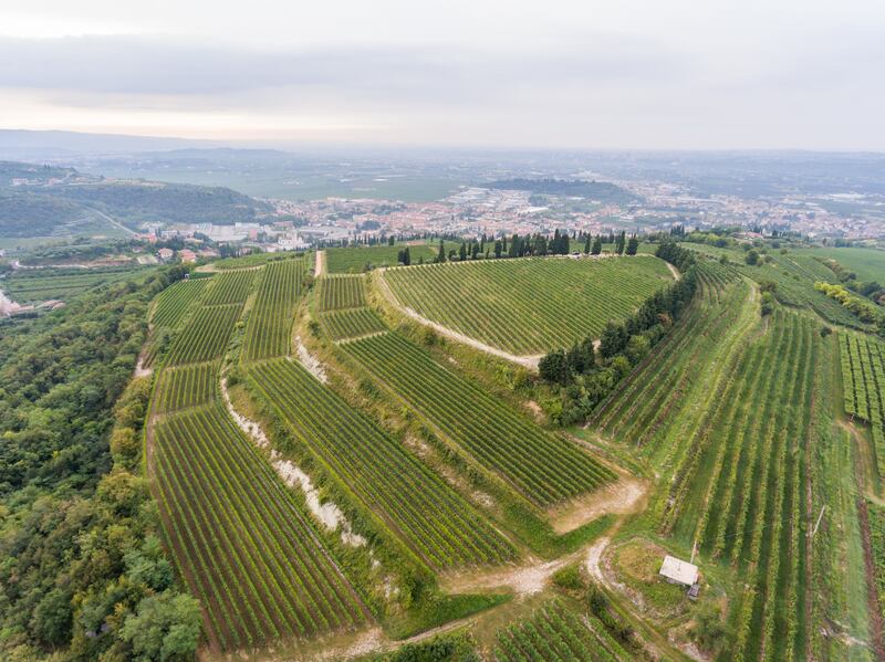 Villa Della Torre, Fumane, Valpolicella, Italy