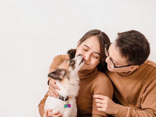 Rivoluzione sugli aerei: animali domestici in cabina