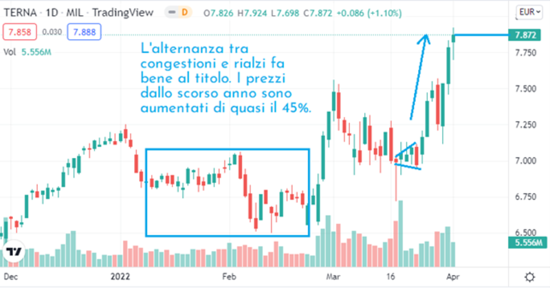 Nasdaq Tomasini 5