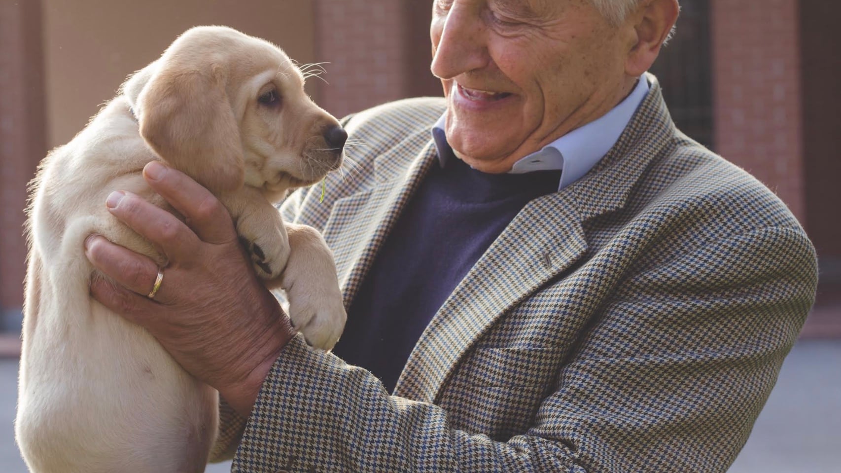 "La mia fortuna? Il licenziamento e il mio cane dal veterinario"