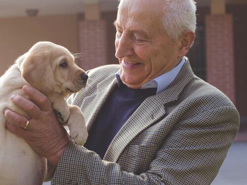 "La mia fortuna? Il licenziamento e il mio cane dal veterinario"