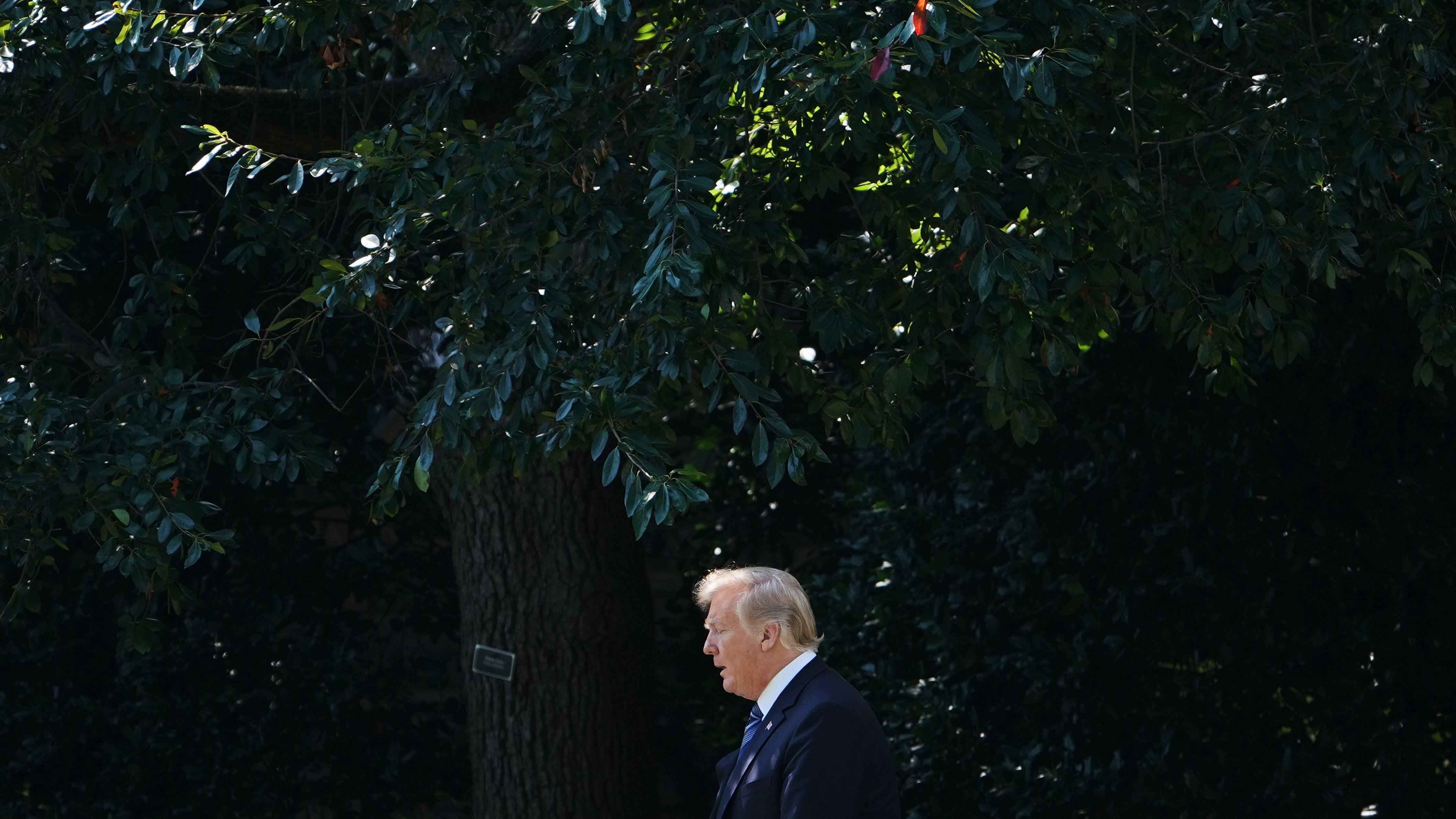 Trump viene eletto e i vertici di Google reagiscono disperati