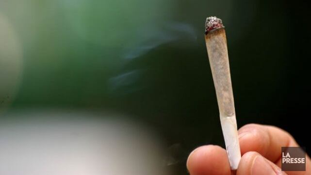 Padre tira schiaffo al figlio perché fuma una canna: denunciato dai carabinieri
