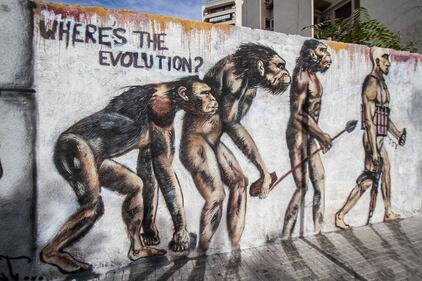 Da scimmia a kamikaze: la non-evoluzione a Beirut 2