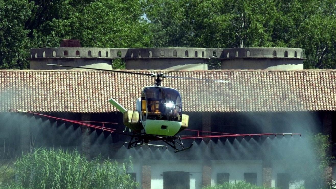 Sulle risaie dell'hinterland il Comune interviene in vista del caldo estivo