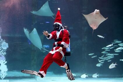 Babbo Natale nuota coi pesci 3