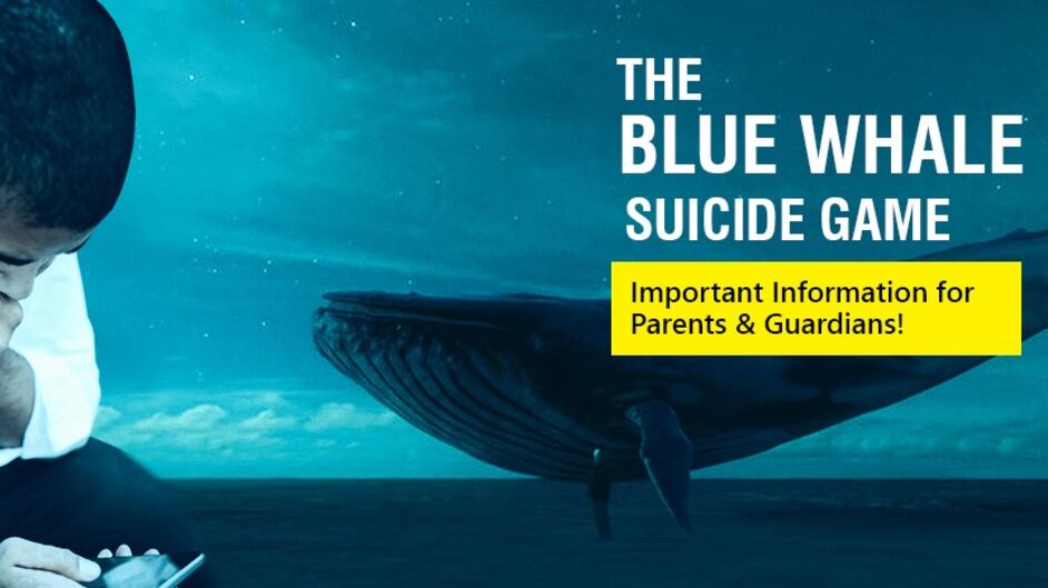 La Polizia postale: "Il Blue Whale non è un gioco, ma un percorso pericoloso"