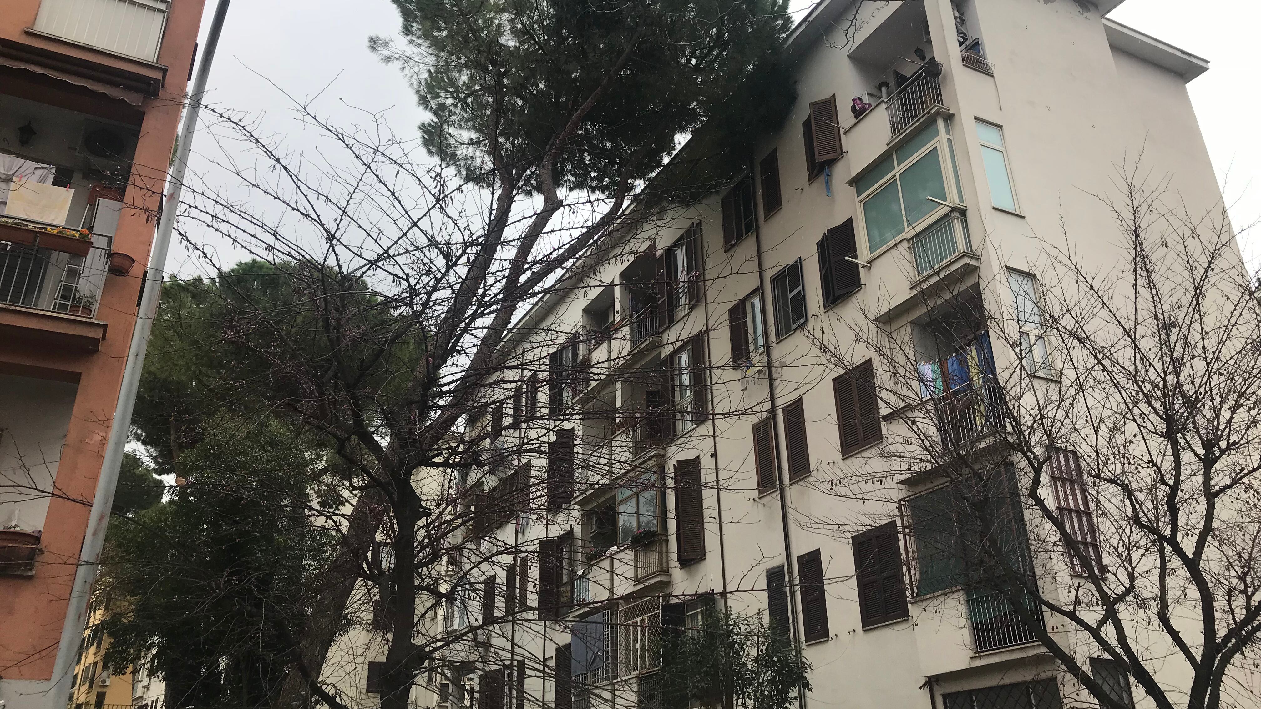 Roma, le case Ater cadono a pezzi: "Qui sembra di essere in guerra"