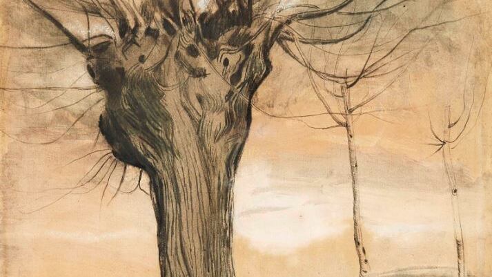 Va all'asta il "tesoro" di Tanzi Opere di Picasso e Van Gogh