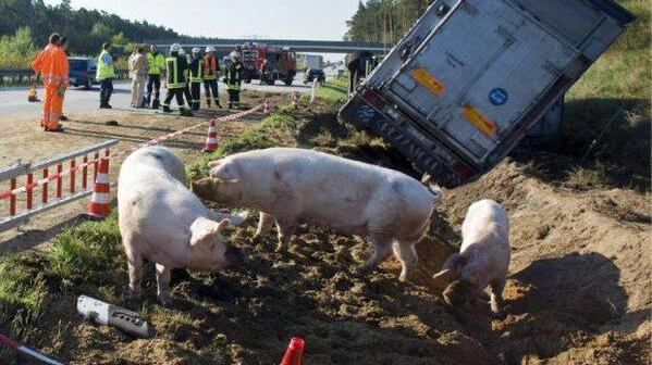 Nel giorno dell'esodo è caos sulle autostrade