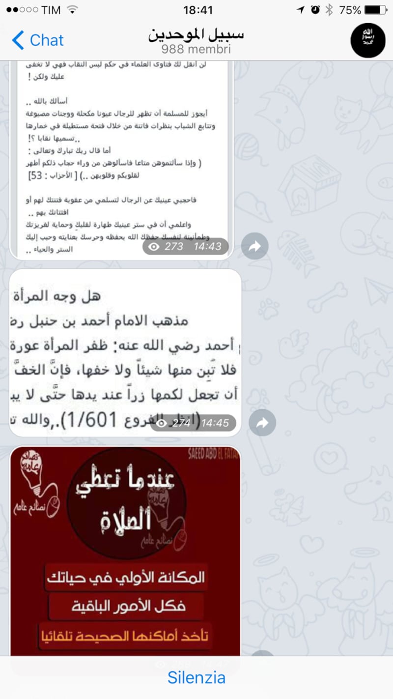 La guerra santa tra le chat cifrate di Telegram 1