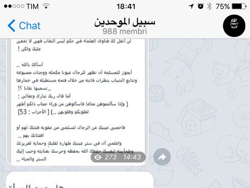 La guerra santa tra le chat cifrate di Telegram