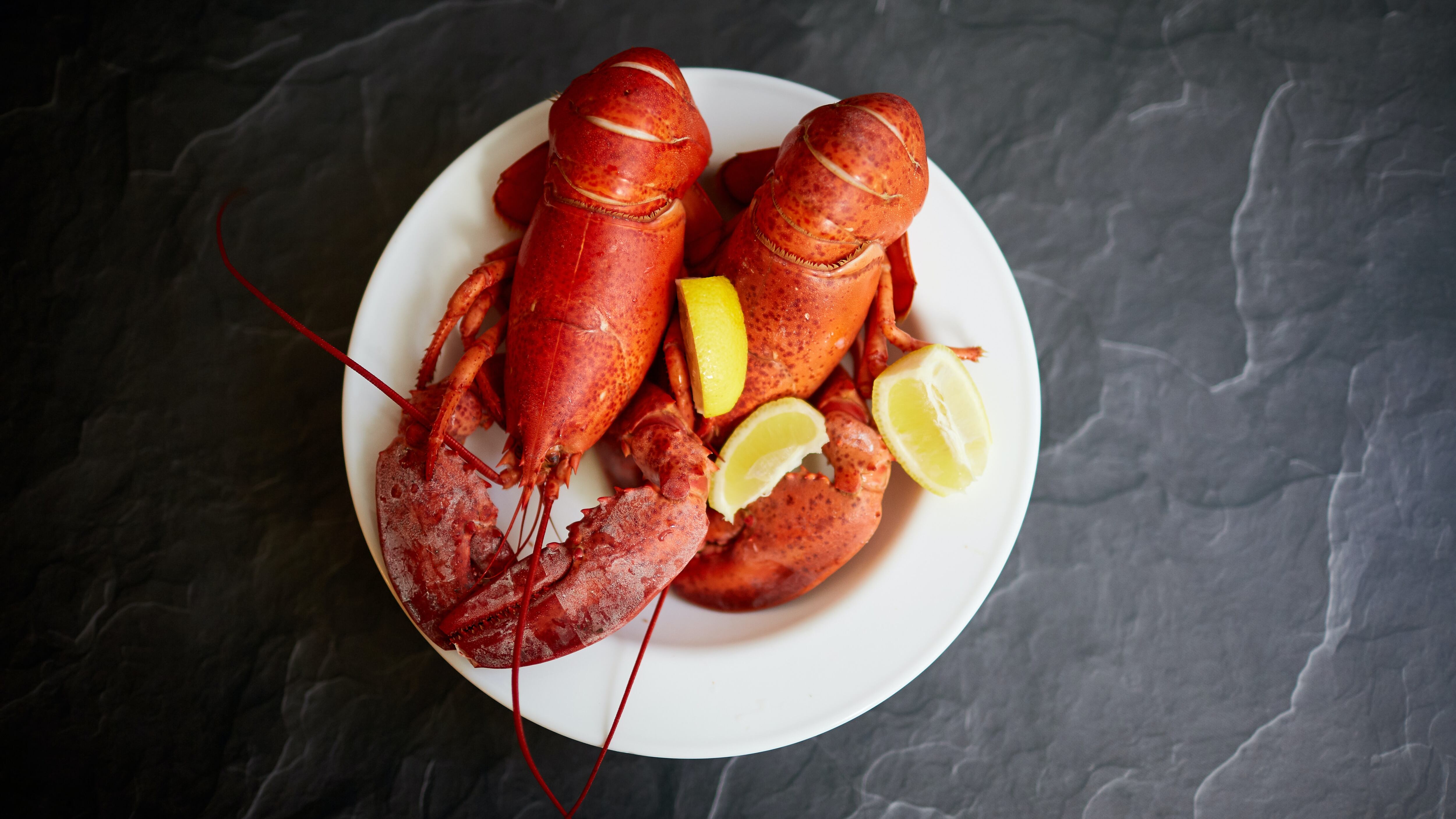 L'aragosta del Maine nel mirino ambientalista. Ma scoppia la rivolta dell'industria della pesca