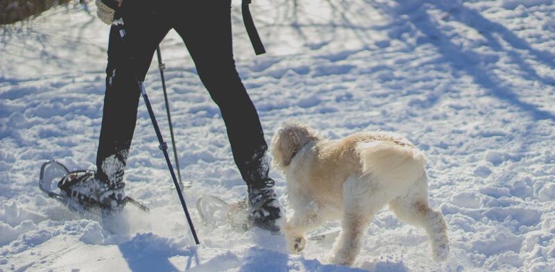 Passeggiata sulla neve