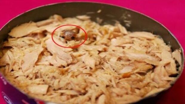 Compra tonno in scatola e trova un parassita che mangia la lingua