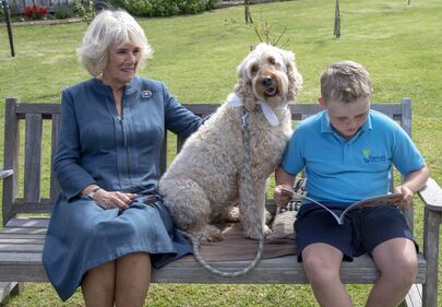 Pet Therapy per la Duchessa di Cornovaglia  3