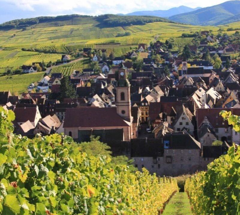 Hugel, le vigne nel villaggio di Riquewihr