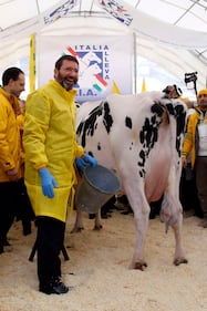 Marino munge la mucca 6