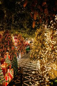 La magia del Natale arriva a Milano a "Palazzo Magia" 13