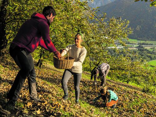 PIC-NIC URBANO. Si possono riempire i cestini di prodotti per gustarli nei giardini