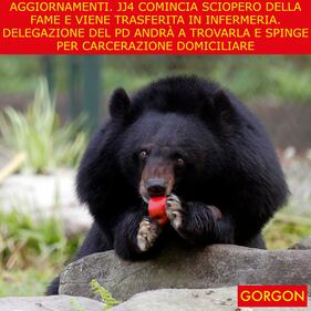 La satira del giorno. Aggiornamenti sull'orsa Jj4 1