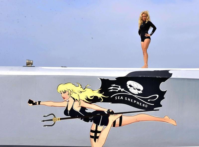 Francesca Cipriani vs Pamela Anderson, foto 11