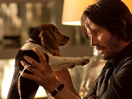 John Wick, la carriera di Keanu Reeves, tra lutti, malattie e soddisfazioni