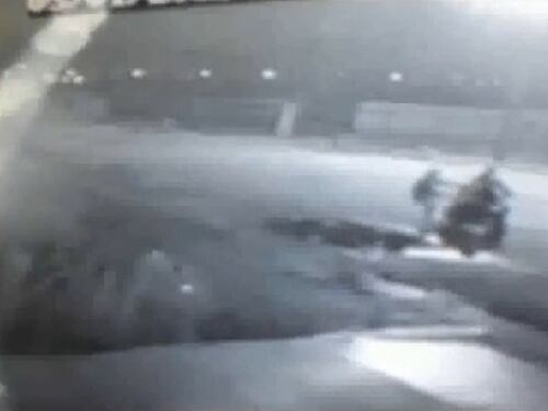 Napoli, l'assurda "moda" di lanciare i cani per aria