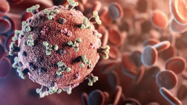 Covid-19 è cambiato: il ceppo europeo è mutevole e più contagioso