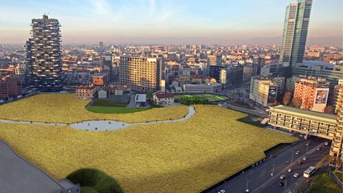 Il campo di grano ​spunta a Porta Nuova 2