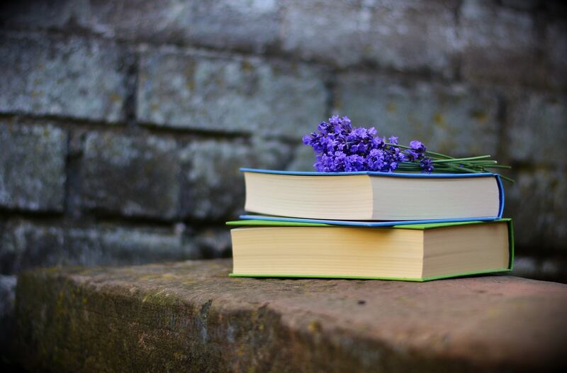 Lavanda storia