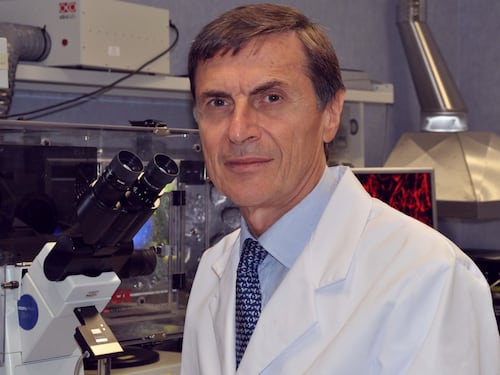 Ma 15 scienziati smascherano il premier: "Più fondi alla ricerca, serve più coraggio"
