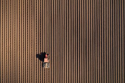 Il lavoro agricolo al tempo del coronavirus 9