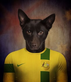 Brasile 2014, delle squadre... da cani 14
