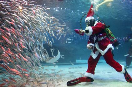 Babbo Natale sott'acqua, con i pesci di Seul 4