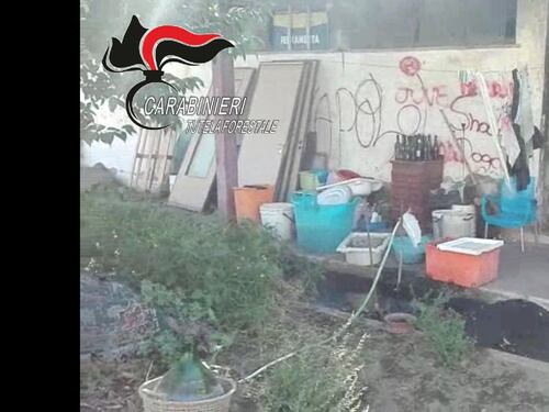 Nell'area comunale la residenza abusiva dei giostrai e la discarica di rifiuti
