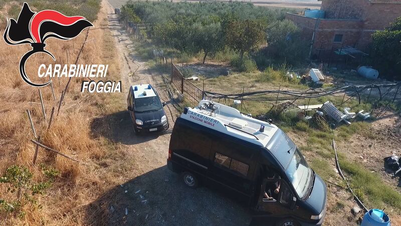 Manfredonia, coltivava marijuana: rumeno arrestato 2