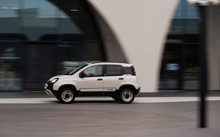 Fiat Panda 4x40° Limited Edition, guarda tutte le immagini 8