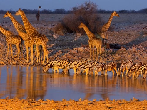 Namibia: 14 indimenticabili giorni per veri viaggiatori