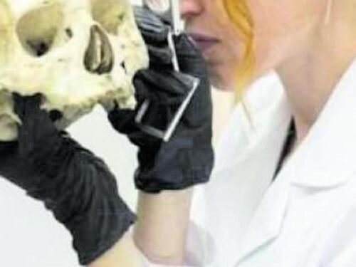 "Da un seme ricostruiamo la vita in cucina degli antichi"