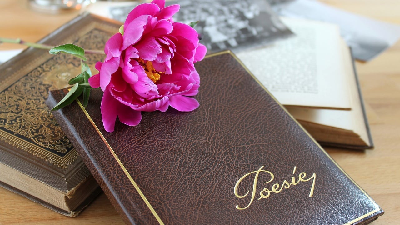 Giornata mondiale della poesia, le strofe più belle da dedicare
