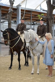 Carlo e Camilla alla Scuola di equitazione spagnola di Vienna 1